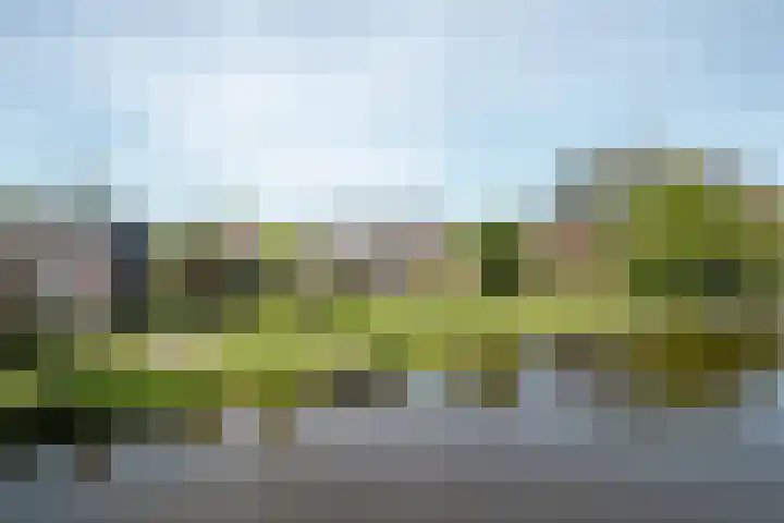 Rinze Werkhovenstraat 12 Franeker thumbnail 5