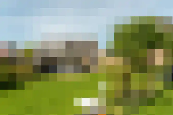 Rinze Werkhovenstraat 12 Franeker thumbnail 6