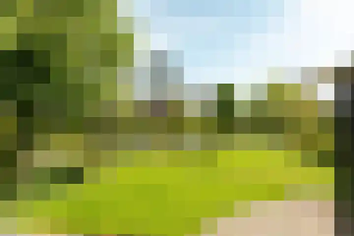 Rinze Werkhovenstraat 12 Franeker thumbnail 7