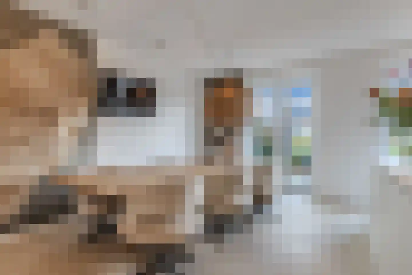 Rinze Wibbelinkstraat 15 Drachten thumbnail 9