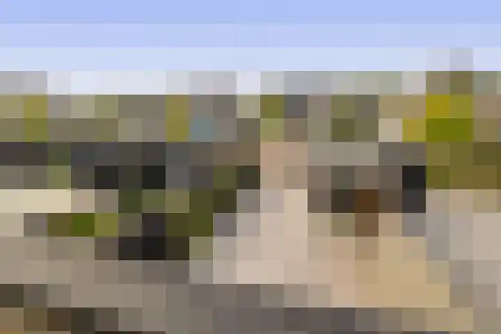 Rinze Wibbelinkstraat 86 Drachten thumbnail 26