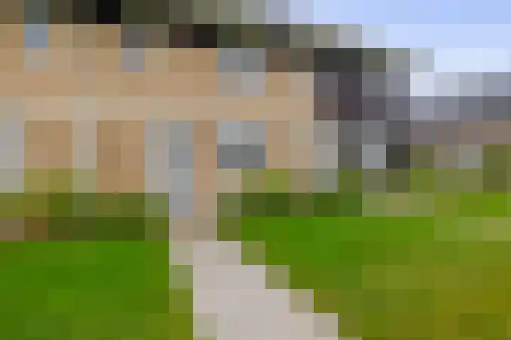 Rinze Wibbelinkstraat 86 Drachten thumbnail 5