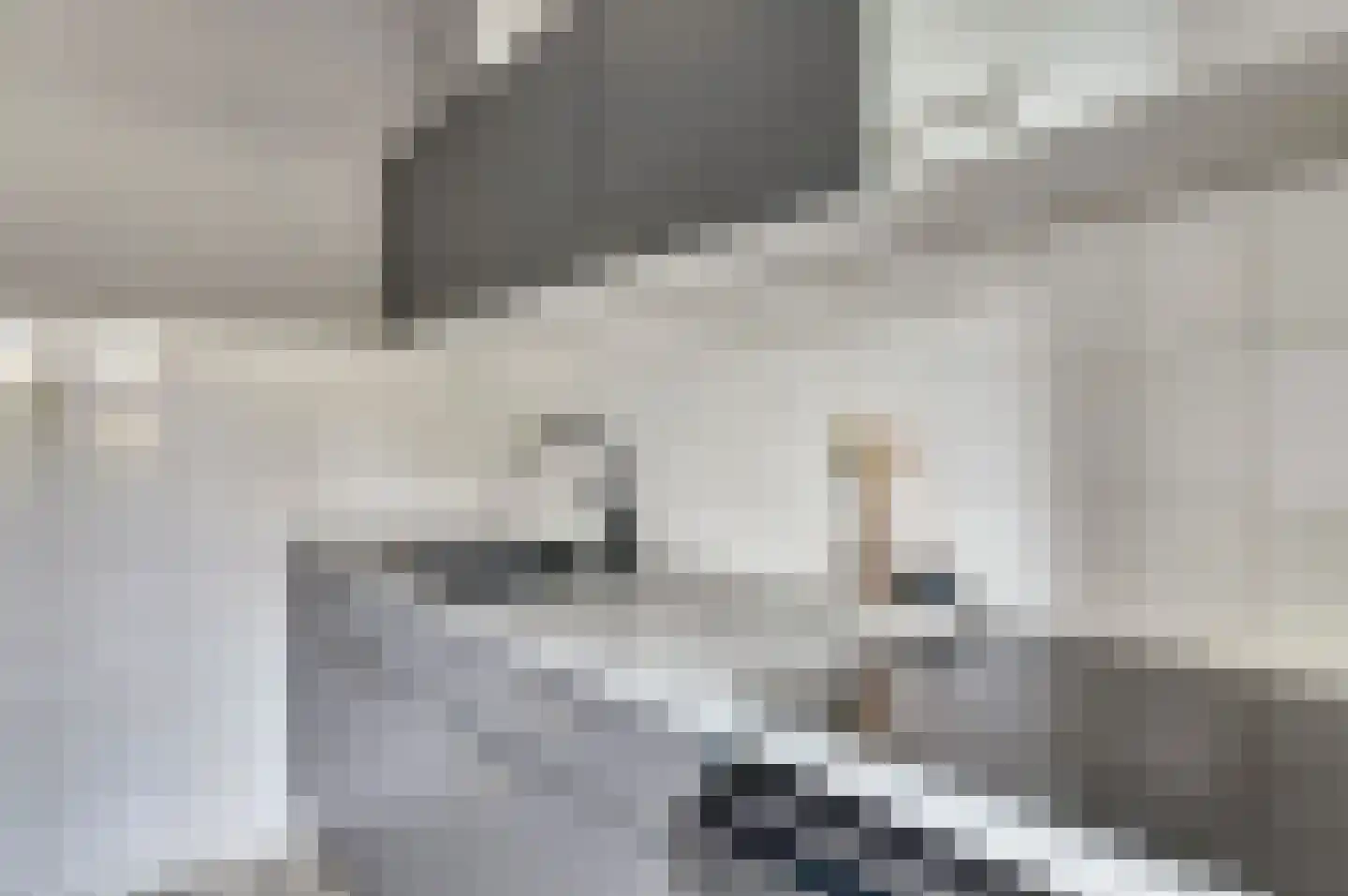 Rinzemastraat 2 Joure thumbnail 14