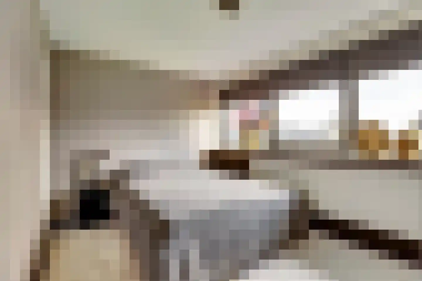 Rinzemastraat 2 Joure thumbnail 17