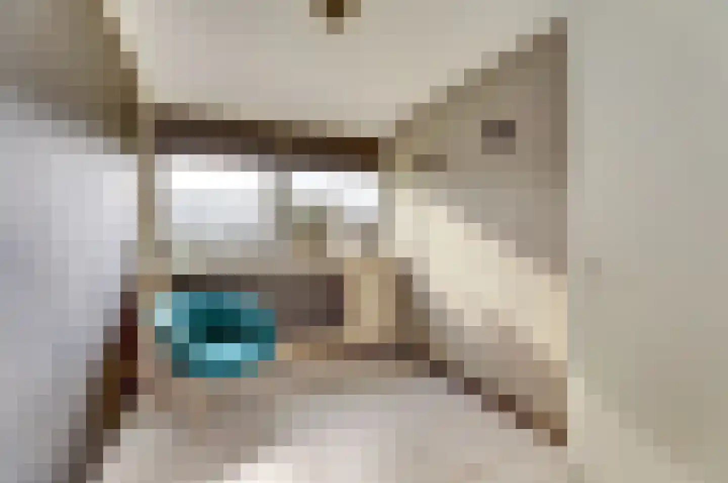Rinzemastraat 2 Joure thumbnail 21