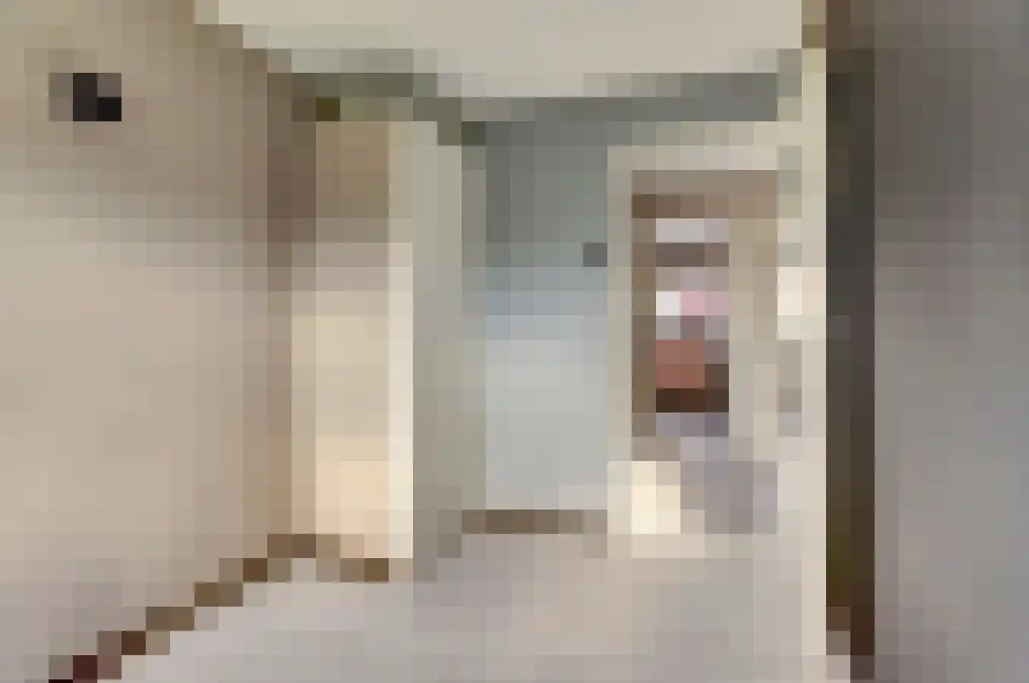 Rinzemastraat 2 Joure thumbnail 22