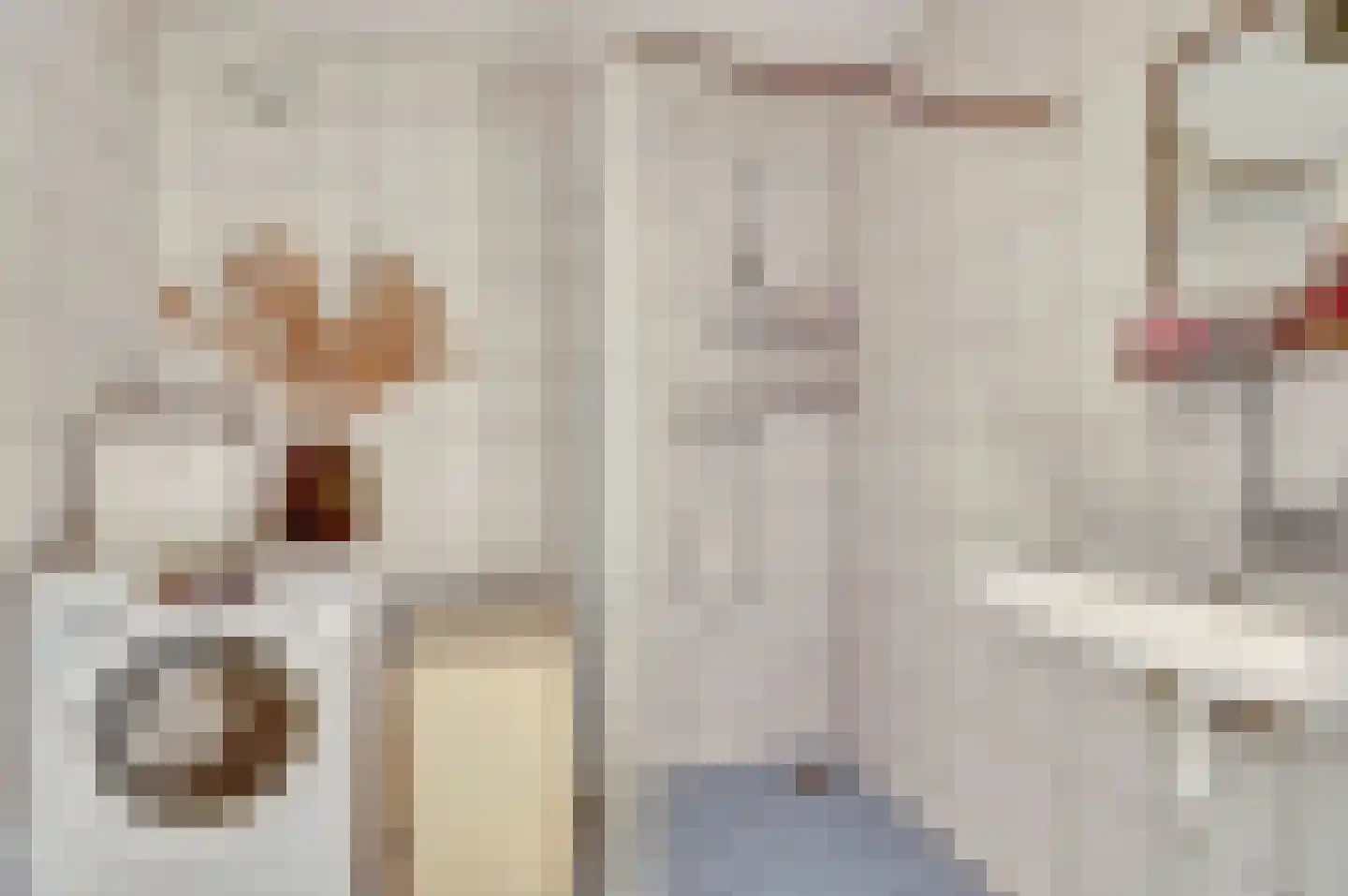 Rinzemastraat 2 Joure thumbnail 23