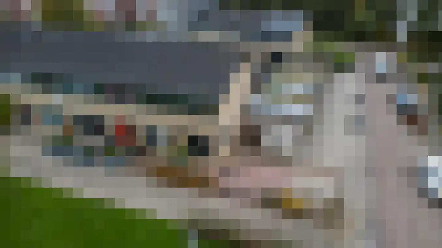 Rinzemastraat 2 Joure thumbnail 31
