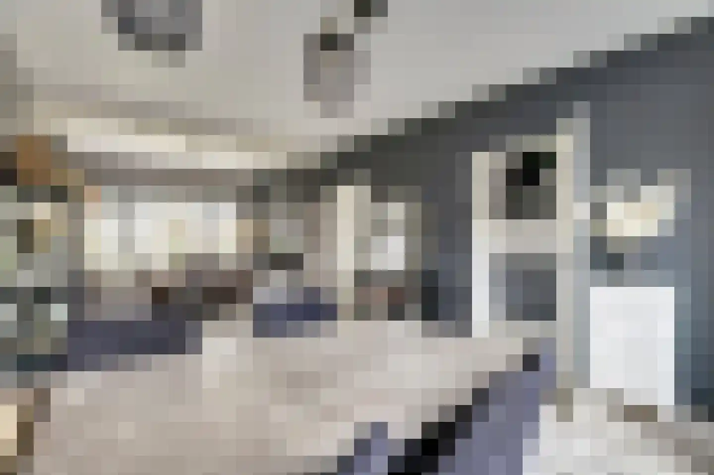 Rinzemastraat 2 Joure thumbnail 7
