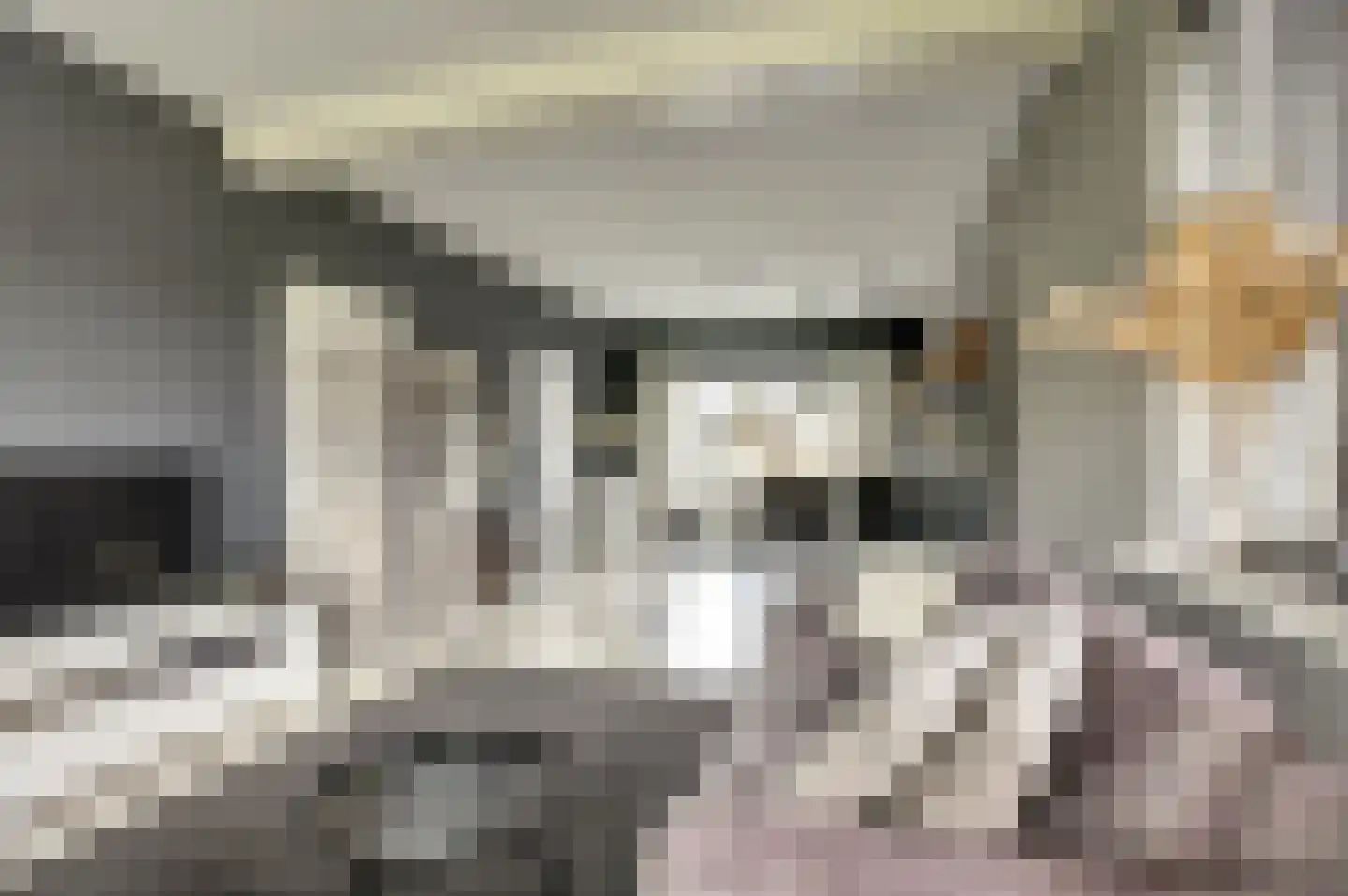 Rinzemastraat 2 Joure thumbnail 8