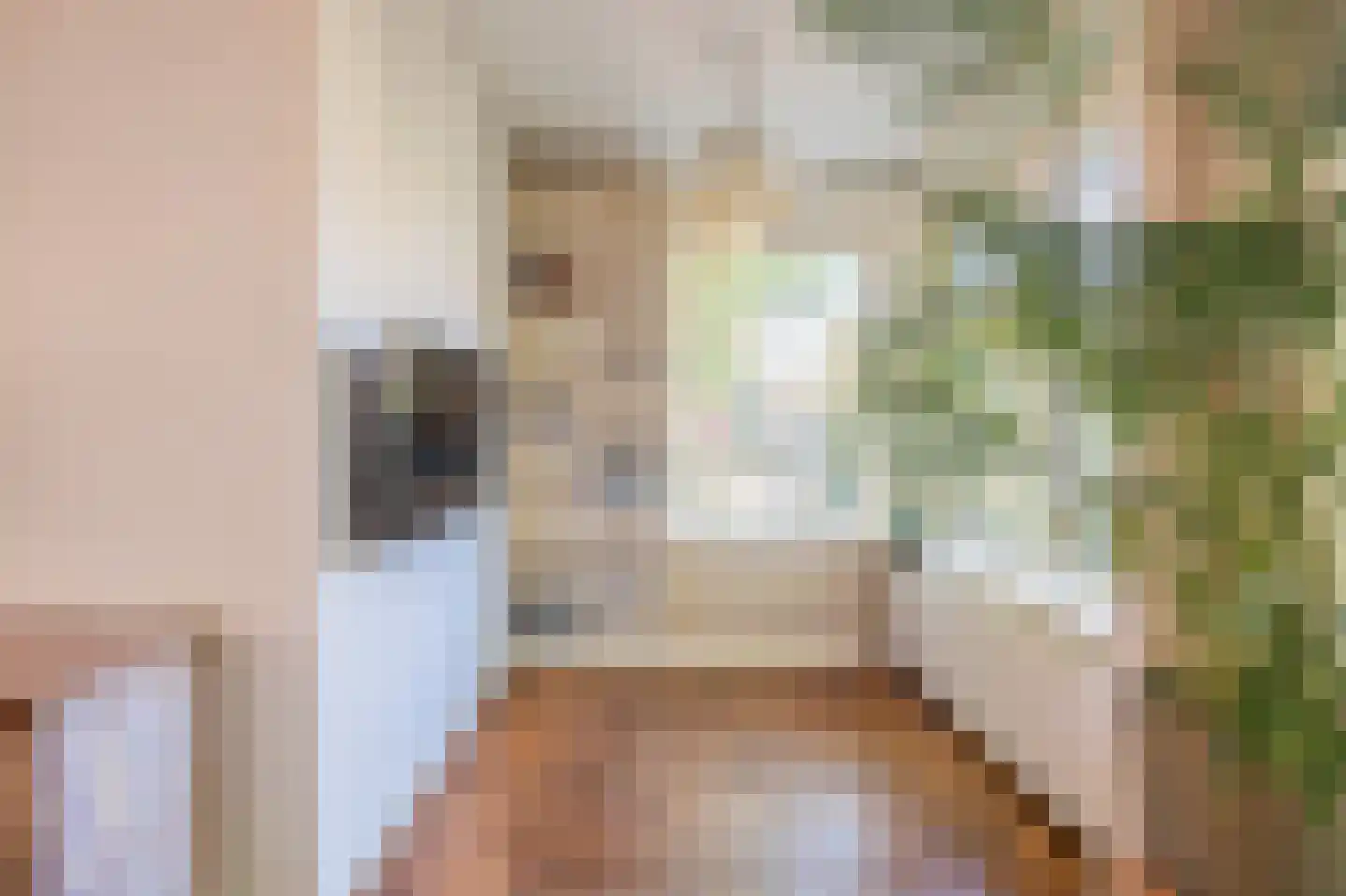Rio Grandelaan 26 Overveen thumbnail 13