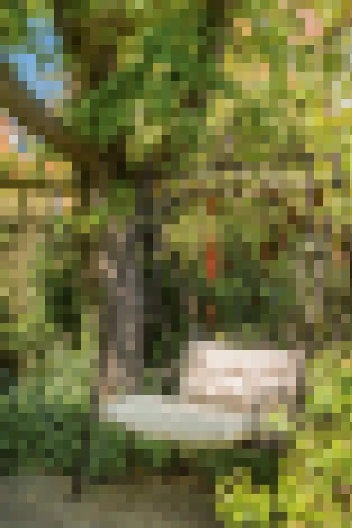 Rio Grandelaan 26 Overveen thumbnail 8
