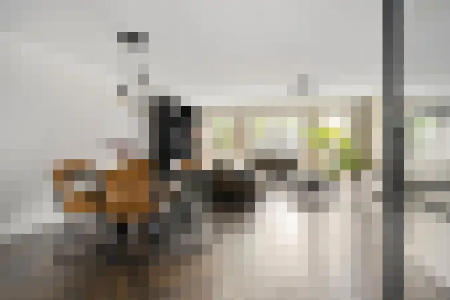 Rio Grandestraat 13 Purmerend thumbnail 13