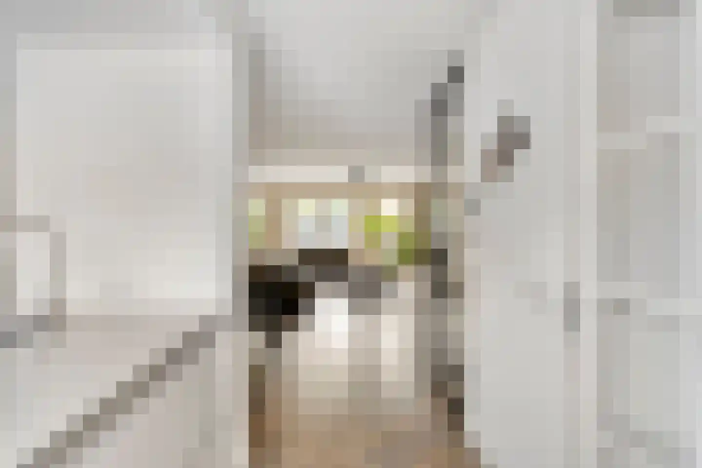 Rio Grandestraat 13 Purmerend thumbnail 16