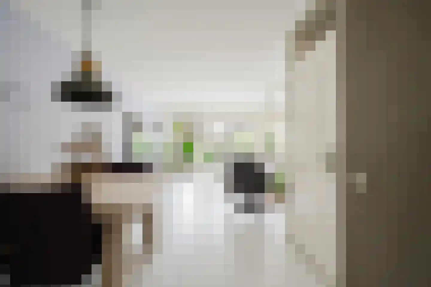 Rio Grandestraat 26 Spijkenisse thumbnail 8