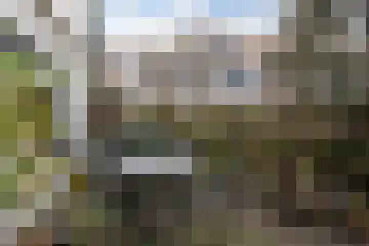 Riouwlaan 53 Vlaardingen thumbnail 16
