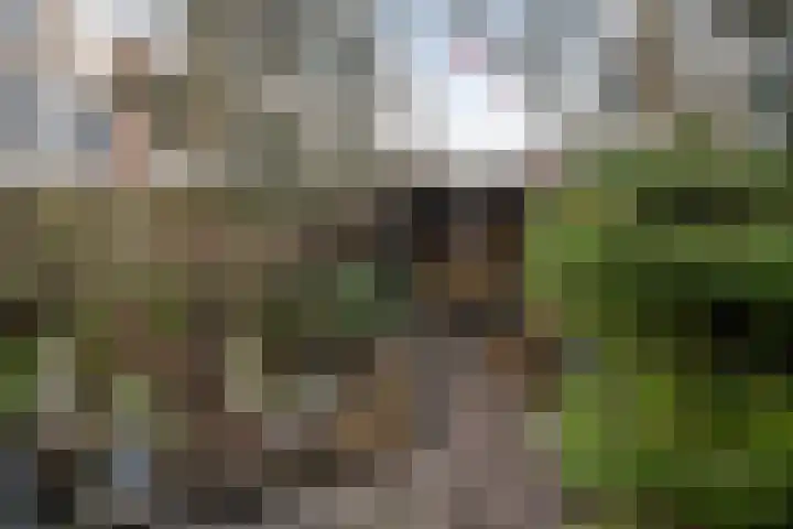 Riouwlaan 53 Vlaardingen thumbnail 17