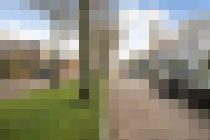 Riouwlaan 53 Vlaardingen thumbnail 28