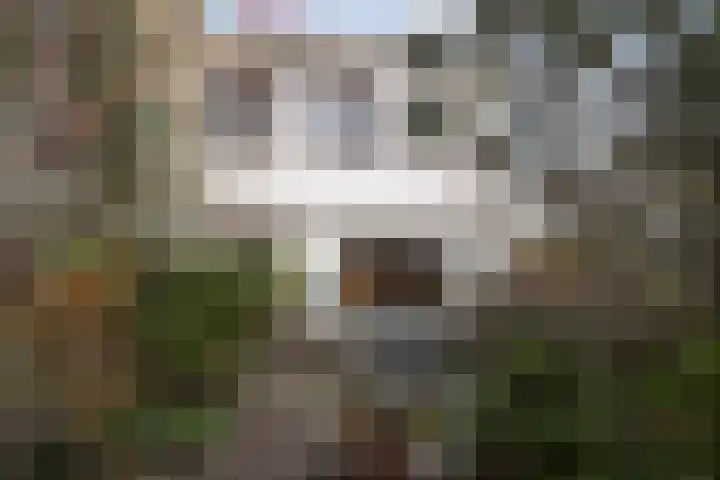 Riouwlaan 53 Vlaardingen thumbnail 5