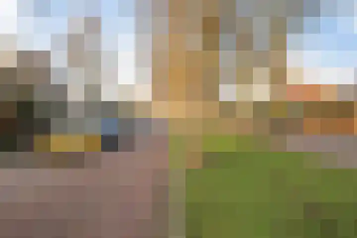 Riouwlaan 53 Vlaardingen thumbnail 6