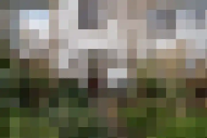 Riouwlaan 53 Vlaardingen thumbnail 7