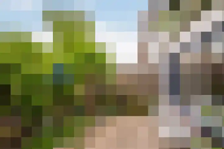 Riouwlaan 55 Vlaardingen thumbnail 17