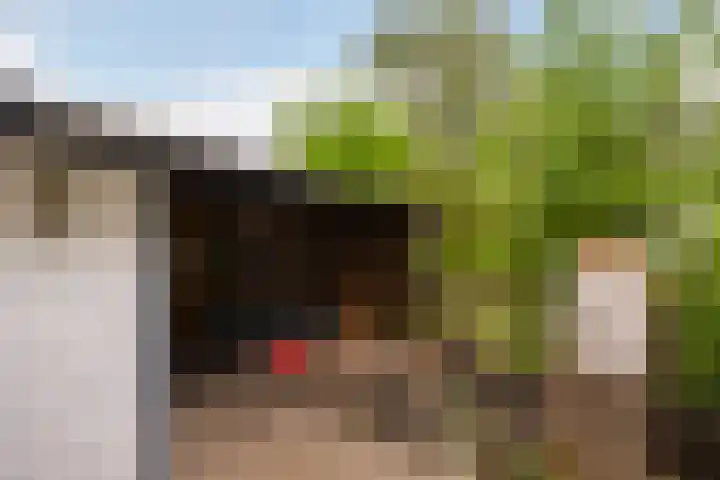Riouwlaan 55 Vlaardingen thumbnail 19