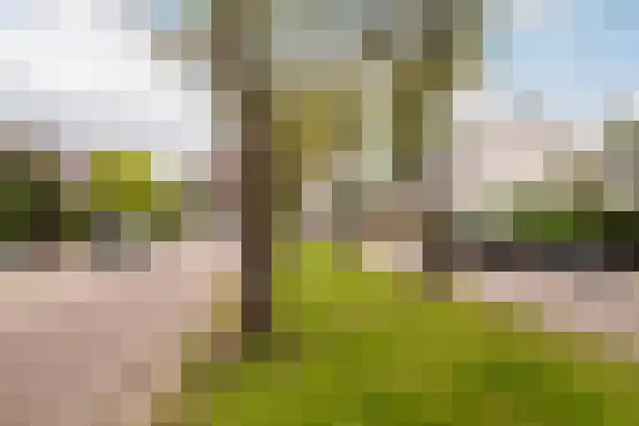 Riouwlaan 55 Vlaardingen thumbnail 32