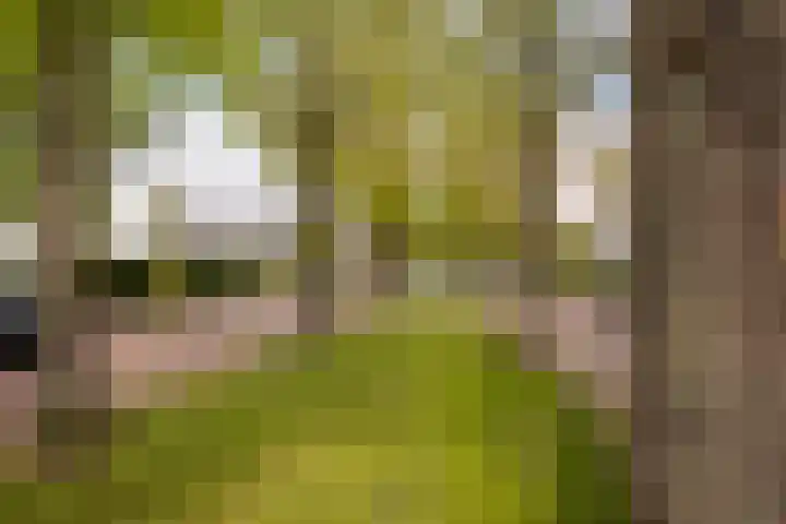 Riouwlaan 55 Vlaardingen thumbnail 33