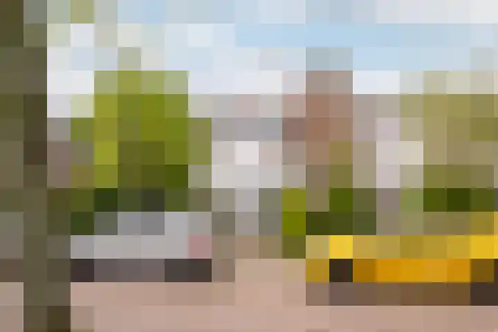 Riouwlaan 55 Vlaardingen thumbnail 34