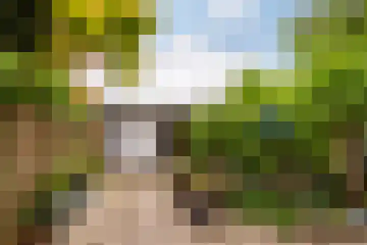 Riouwlaan 55 Vlaardingen thumbnail 4