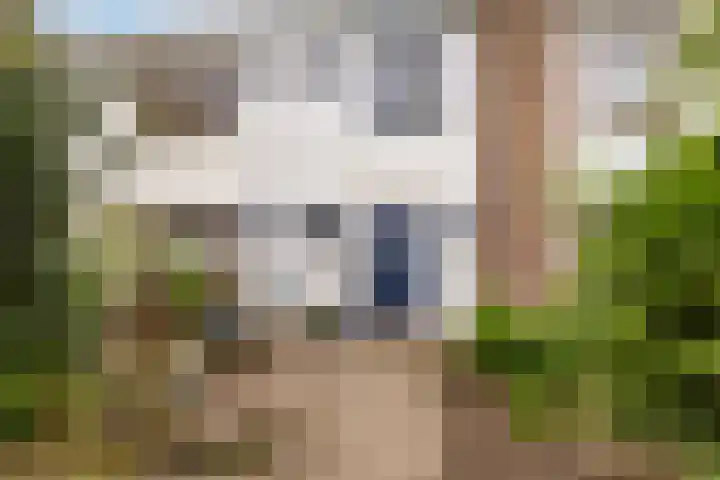 Riouwlaan 55 Vlaardingen thumbnail 5