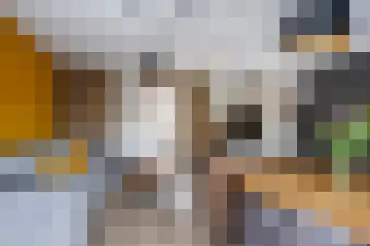 Riouwlaan 79 Vlaardingen thumbnail 10
