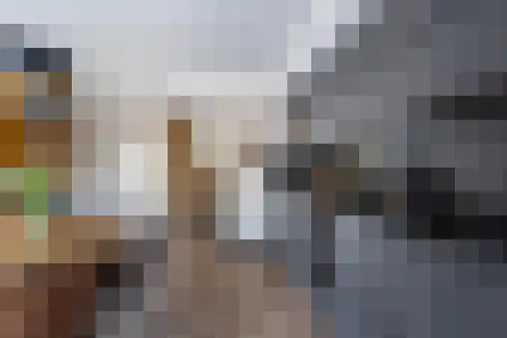 Riouwlaan 79 Vlaardingen thumbnail 12
