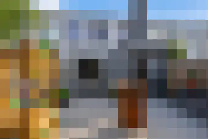 Riouwlaan 79 Vlaardingen thumbnail 4