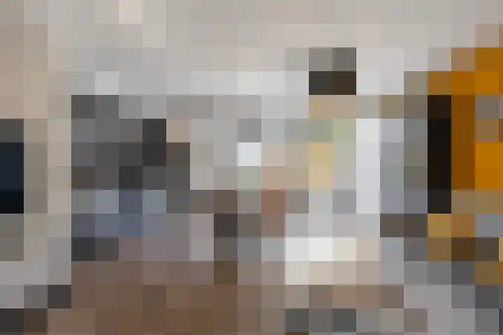 Riouwlaan 79 Vlaardingen thumbnail 9