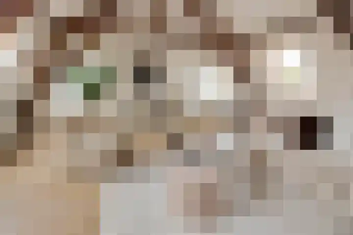 Riouwstraat 1 Utrecht thumbnail 12