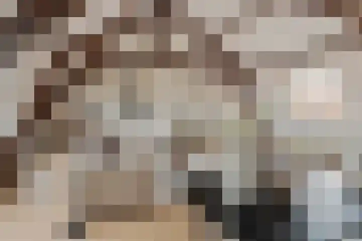Riouwstraat 1 Utrecht thumbnail 9