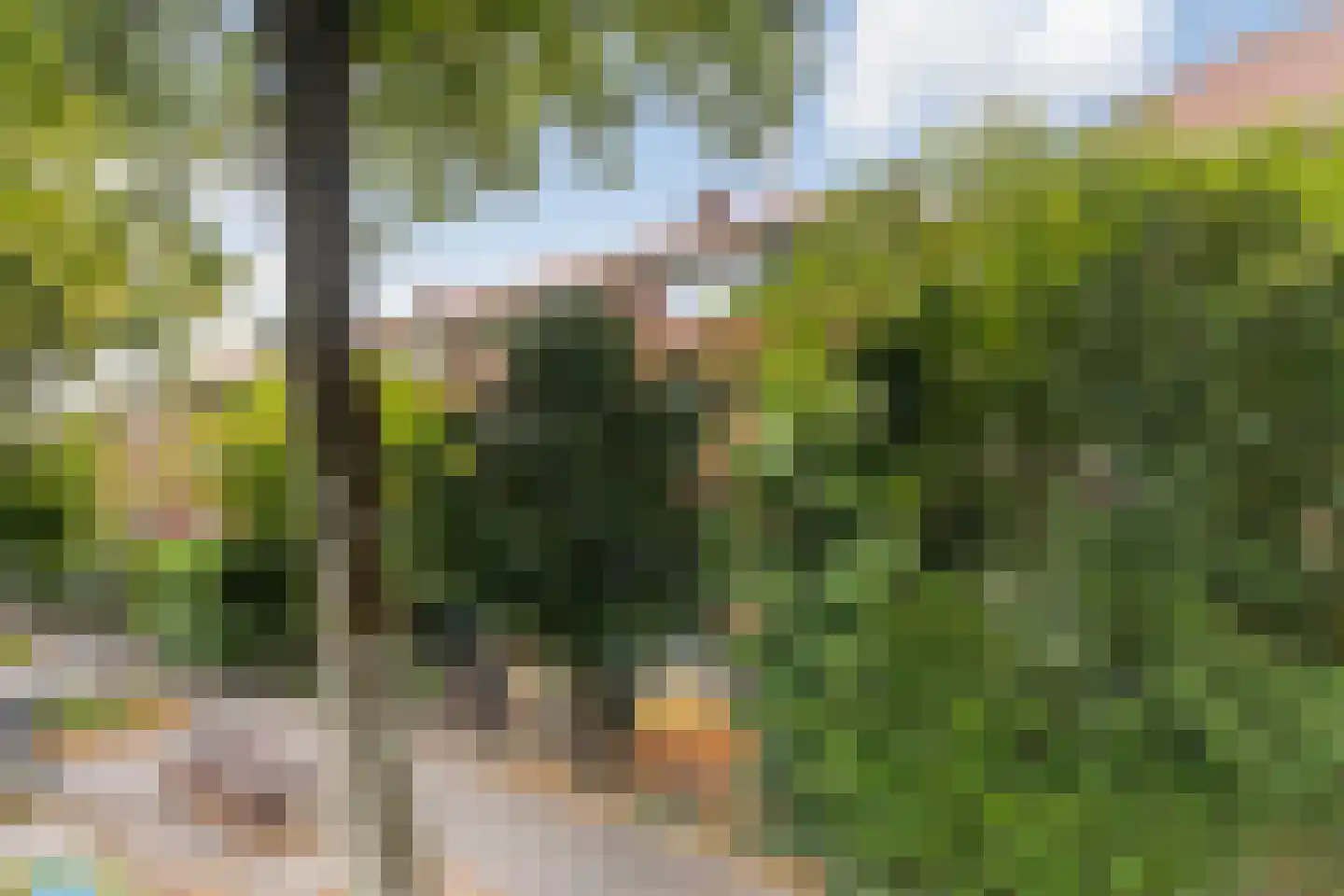Riouwstraat 100 Dordrecht thumbnail 34