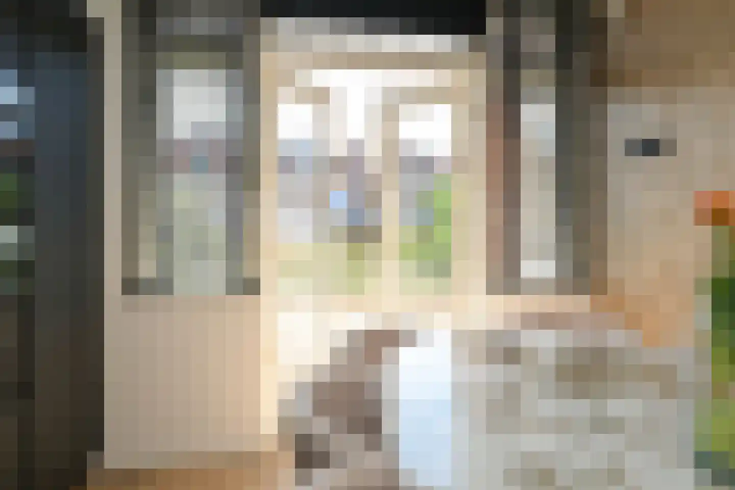Riouwstraat 103 A Den Haag thumbnail 17