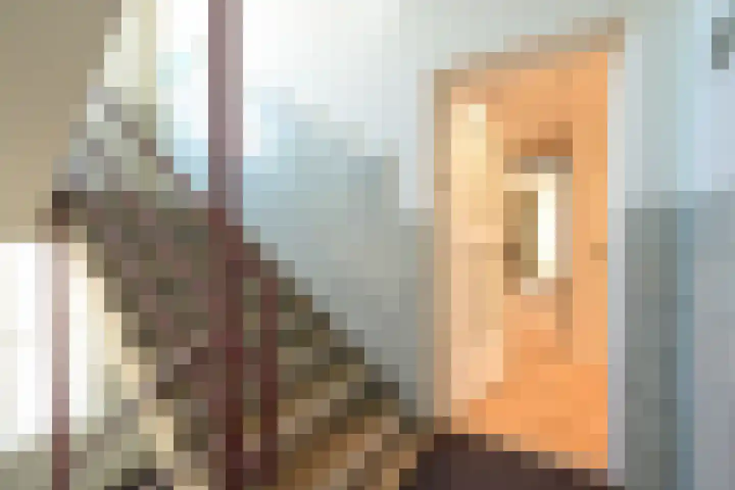 Riouwstraat 103 A Den Haag thumbnail 7