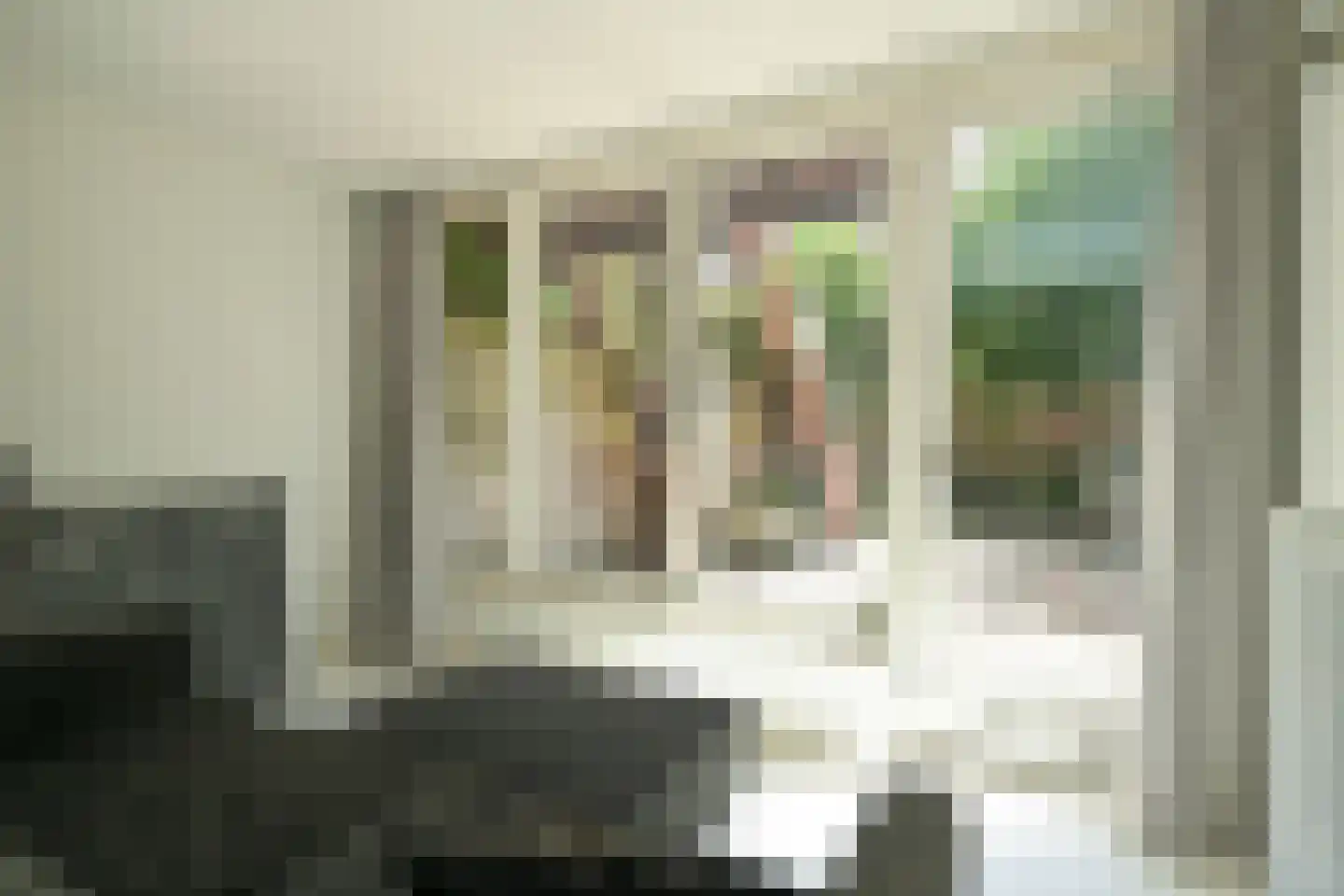 Riouwstraat 109 Den Haag thumbnail 26
