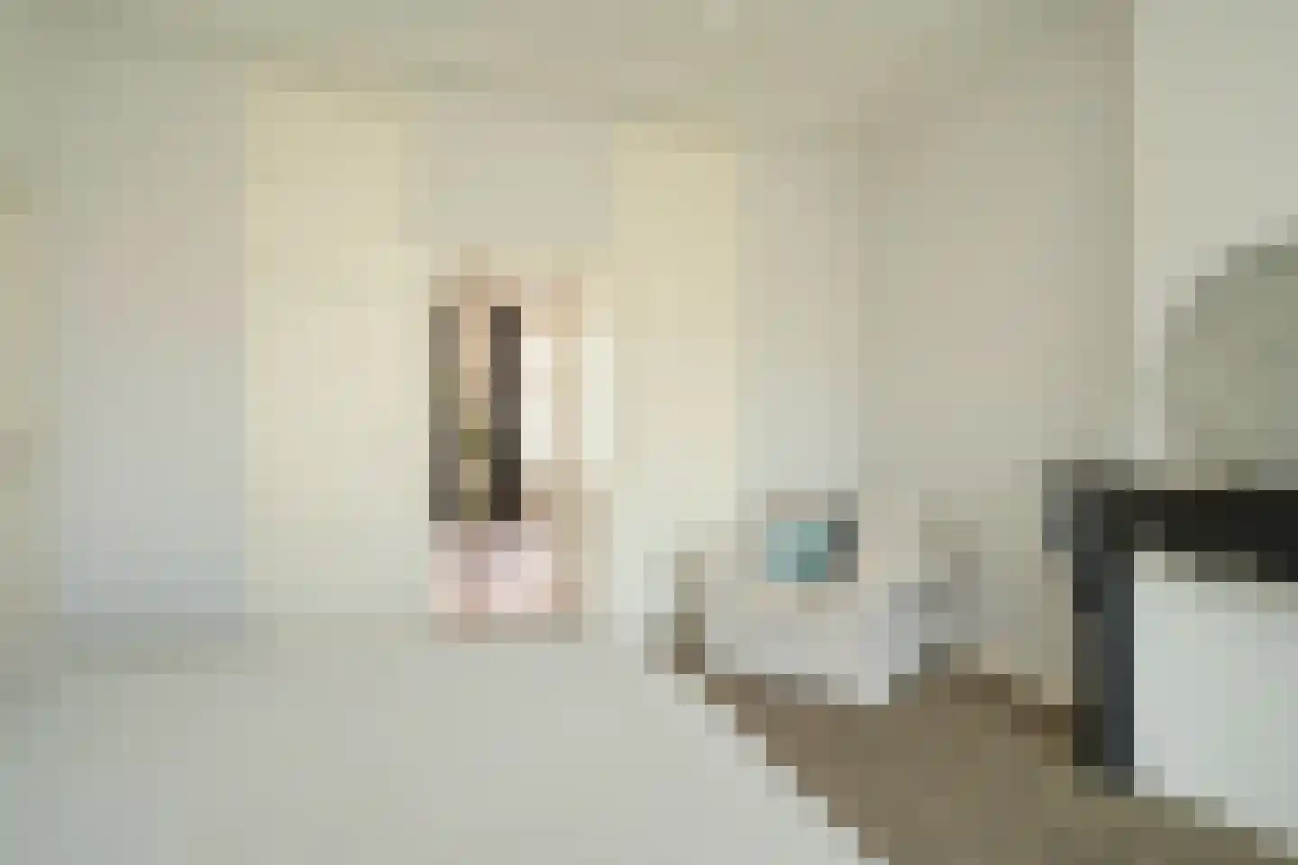Riouwstraat 109 Den Haag thumbnail 33