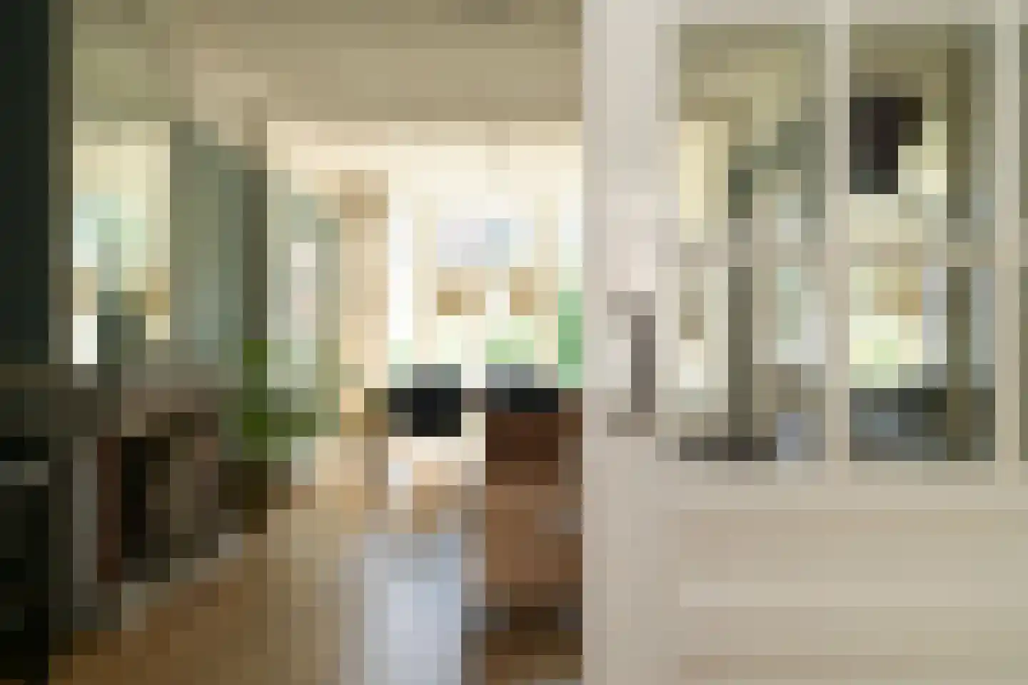 Riouwstraat 109 Den Haag thumbnail 8