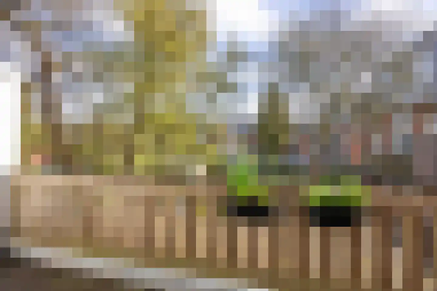 Riouwstraat 11 a Groningen thumbnail 23