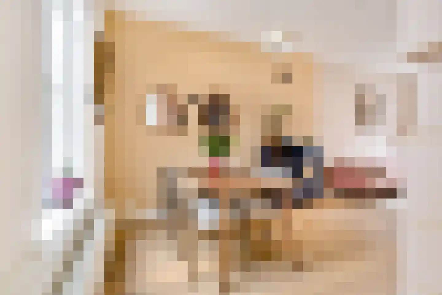 Riouwstraat 12 Utrecht thumbnail 10