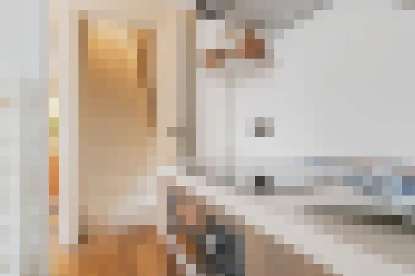 Riouwstraat 12 Utrecht thumbnail 15