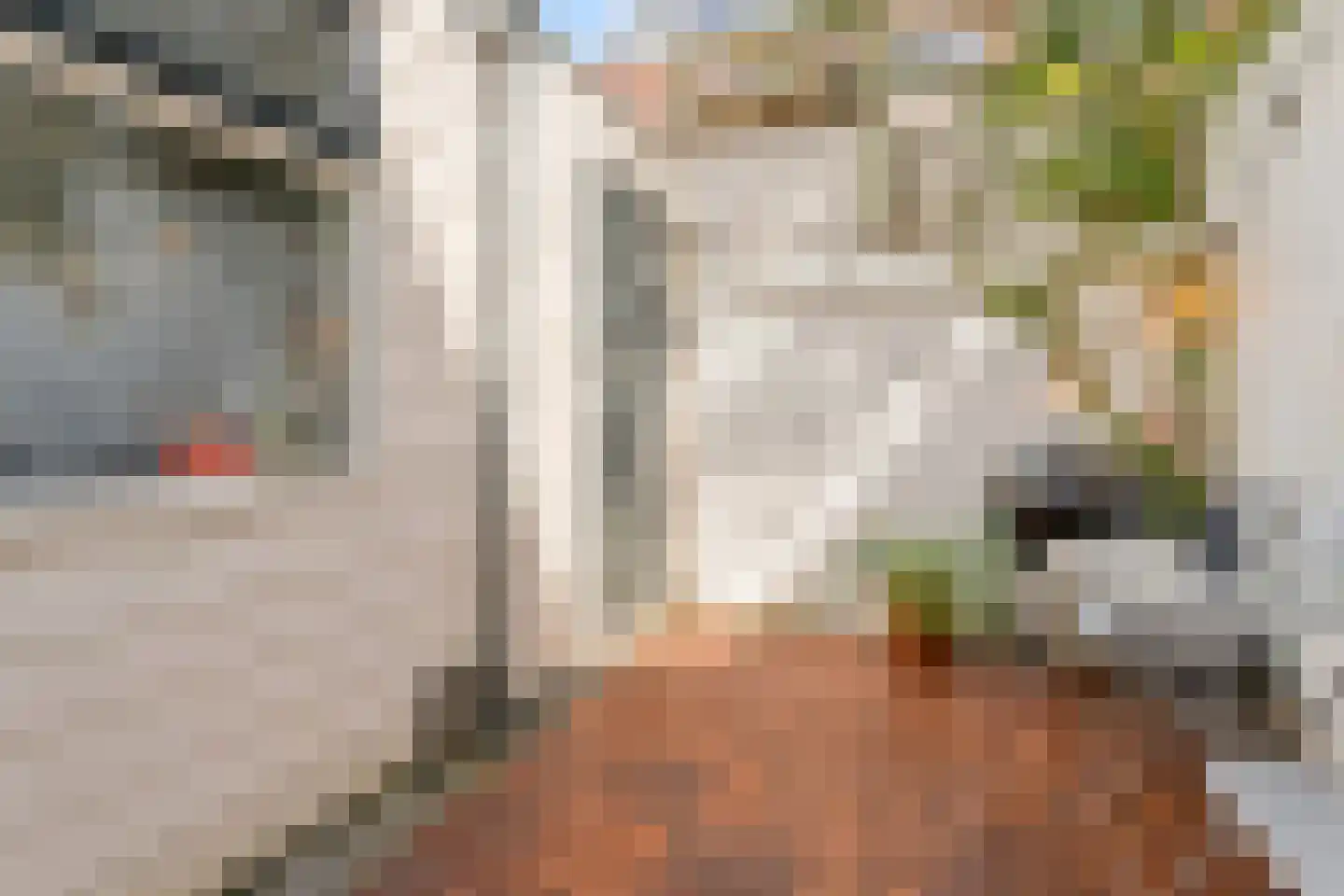Riouwstraat 12 Utrecht thumbnail 16