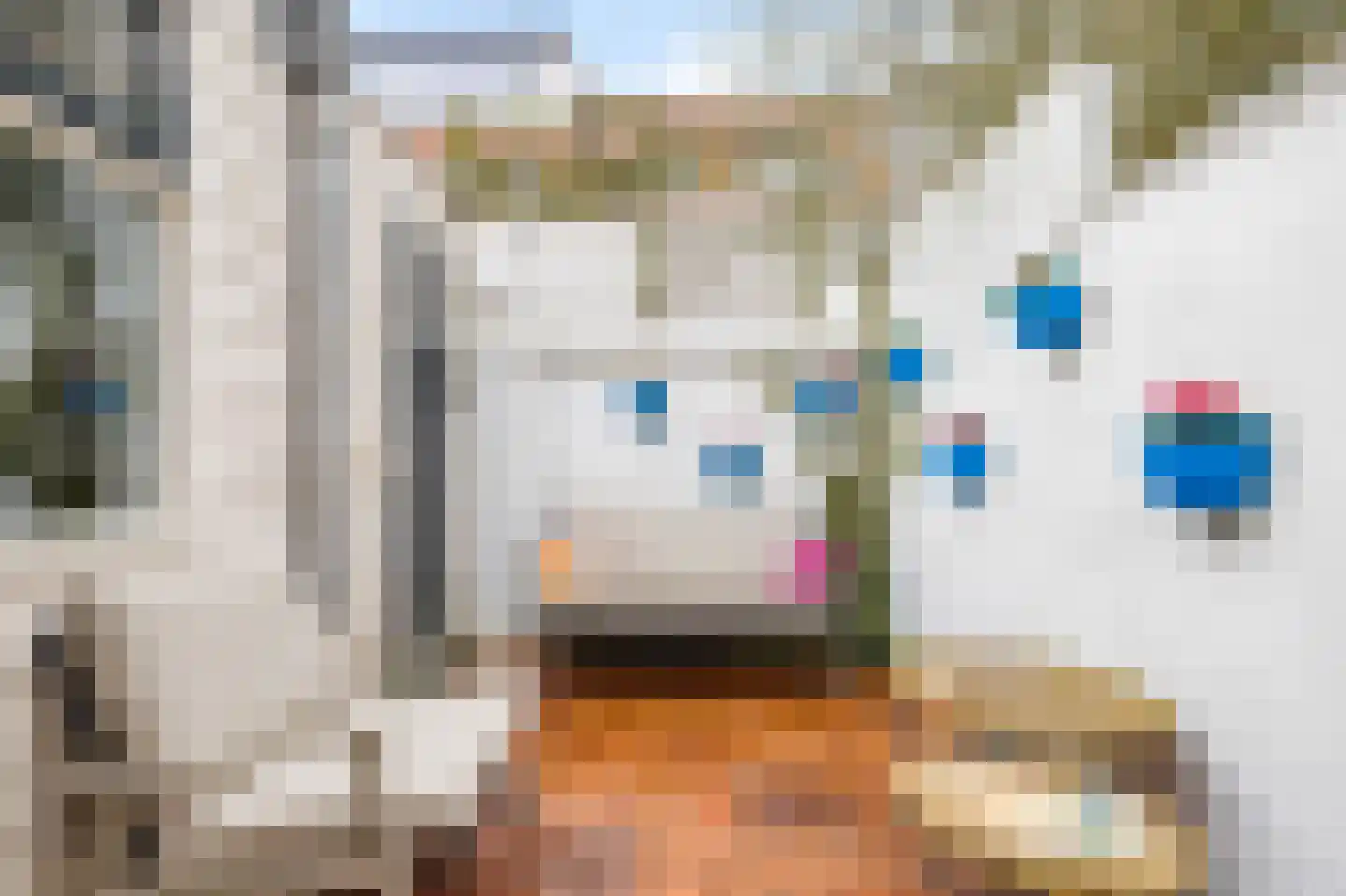 Riouwstraat 12 Utrecht thumbnail 17