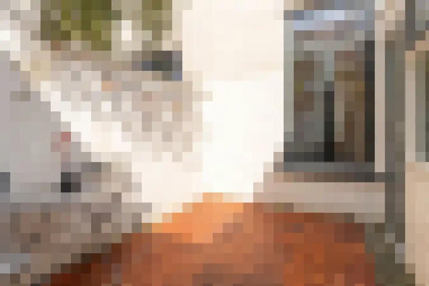 Riouwstraat 12 Utrecht thumbnail 4